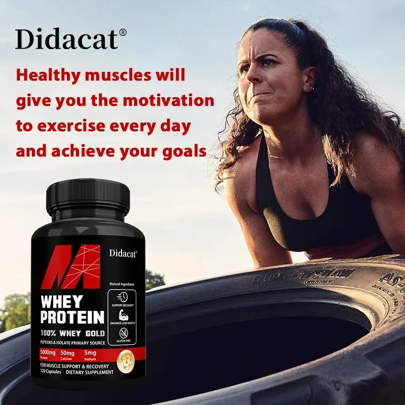 Didacat Whey Protein – 5000mg Recovery Capsules