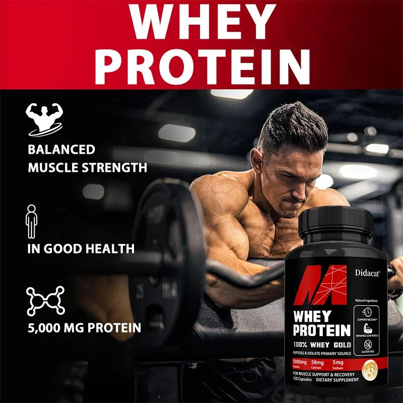 Didacat Whey Protein – 5000mg Recovery Capsules