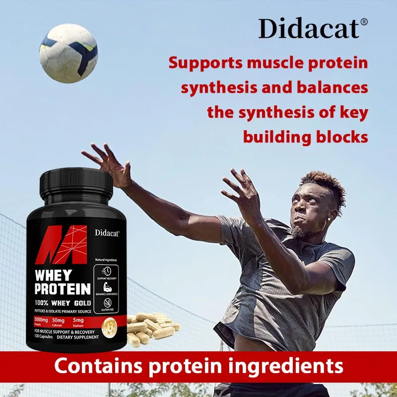 Didacat Whey Protein – 5000mg Recovery Capsules